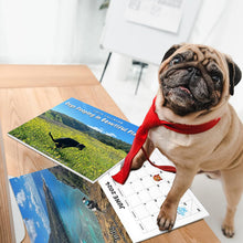Laden Sie das Bild in den Galerie-Viewer, Kalender 2024: Hunde kacken an schönen Orten
